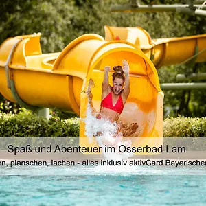 https://hotel-pension-zur-linde.com-bavaria.com